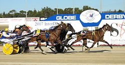 Anzac Day Harness Racing: Exciting Lineup and Thrilling Showdowns Planned