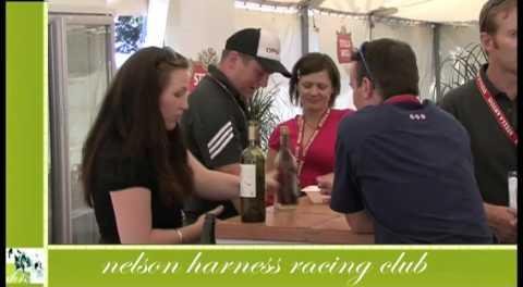 Nelson Harness Racing Club Filly Disqualified Over Drug Test
