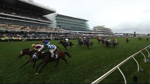 Racing Victoria Enhances Safety Protocols for International Horses