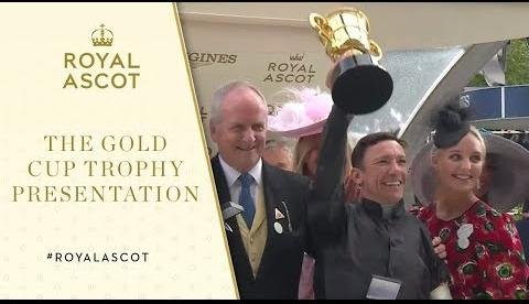 Rafferty Rules: Champion Racehorse Retires After Sixth Consecutive Gold Cup