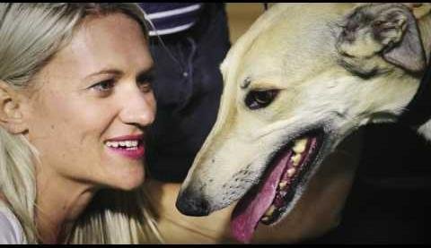 New Lead Curator Appointed to Enhance Greyhound Racing Standards