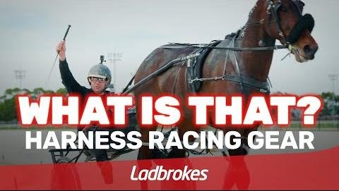 Fate Awaits and Leap To Fame Shine in Harness Racing