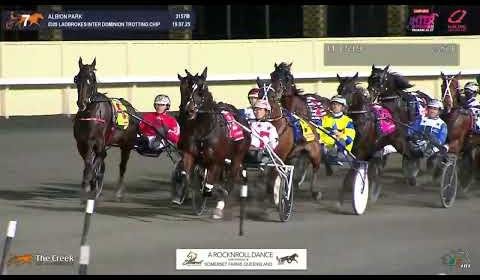 Arcee Phoenix Triumphs in $500K Inter Dominion Trotters Grand Final