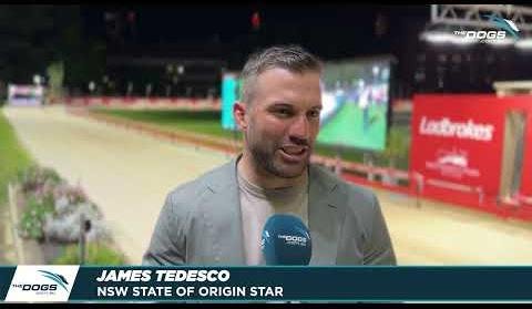 Roosters Captain James Tedesco Champions Greyhound Adoption Cause