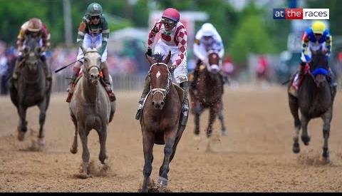 Journalism Triumphs in 150th Preakness Stakes, Defeating Rivals