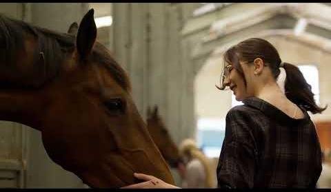 Godolphin Australia Successor Speculation: Potential Candidates for Key Role