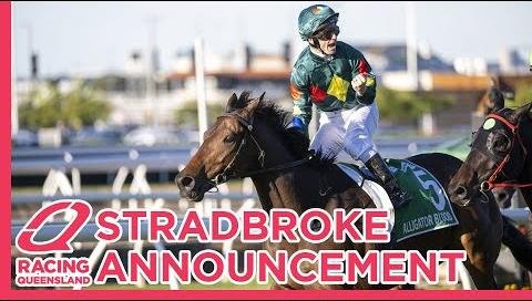 Australian Racing Prize Money Trends: Queensland Leads Distribution