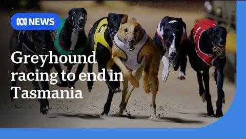 Tasmania to Phase Out Greyhound Racing by 2029