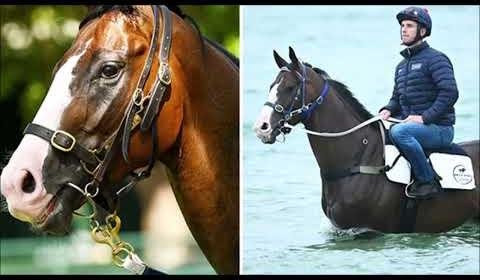 I’m Thunderstruck: Racing World Mourns Beloved Star’s Tragic Loss