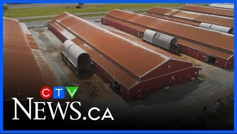 Harness Racing Industry Navigates Challenges Amid Facility Closures