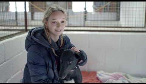 Evans Family Relocates to Australia Amid Greyhound Racing Ban