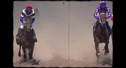 Cox Plate 2024: Prognosis Leads Strong Field at Moonee Valley