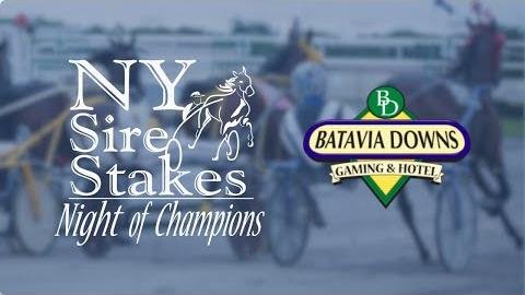 Night of Champions: Exciting Harness Racing Action Live on TrotsVision