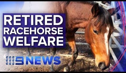 Victoria Racing Club Introduces New Year’s Eve Twilight Races