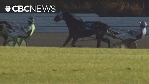 Fraser Downs Racetrack Closure Leaves Horse Racing Community Reeling