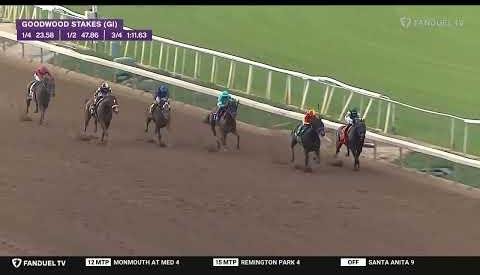 Harvey Racing System Outage Disrupts Harness Racing Stakes Processing