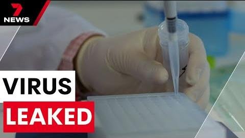 Queensland Investigates Missing Hendra Virus Samples, Biosecurity Concerns