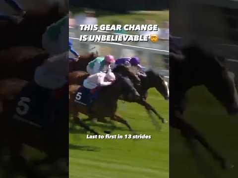 Dual License-Holding Women Excel in Western Australian Racing