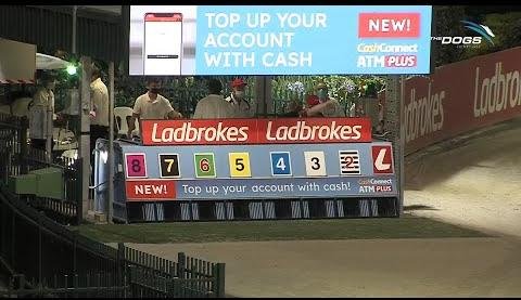 NSW Greyhound Racing’s Future at Wentworth Park Uncertain