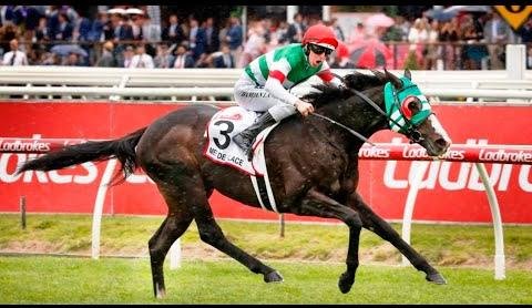 Japanese Contender Warp Speed Eyes Caulfield Cup Glory