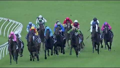 2025 Magic Millions Race Day Rescheduled Under Lights