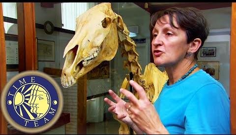 National Museum Showcases Horse Racing Legends’ Enduring Legacies