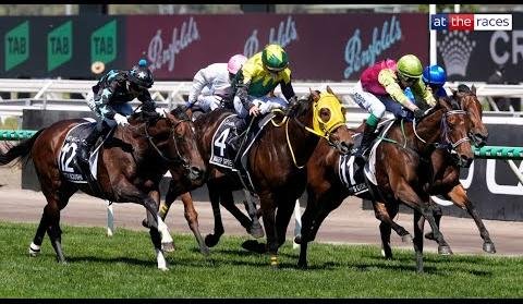 Knight’s Choice Surprises as Melbourne Cup 2024 Champion